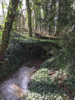 Section image