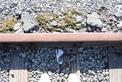 in between in between