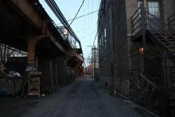 Stomping Ground Stomping Ground