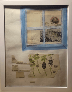 The Root of the Rose The Root of the Rose