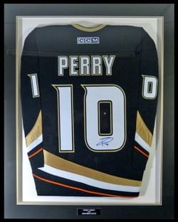 ANAHEIM DUCKS ANAHEIM DUCKS