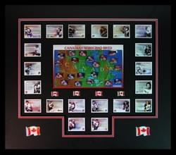 CARD COLLECTION CARD COLLECTION