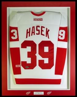 DETROIT RED WINGS DETROIT RED WINGS