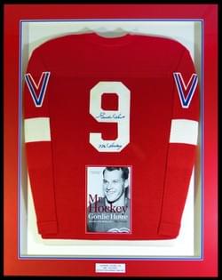 DETROIT RED WINGS DETROIT RED WINGS