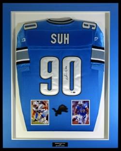 DETROIT LIONS DETROIT LIONS