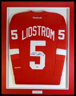 DETROIT RED WINGS DETROIT RED WINGS