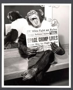 Ham became the first chimpanzee in space on 31 January He reached an altitude of 157 miles and speed of 5857 mph