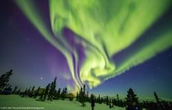 Green and Purple Aurora Colors Alaskan Skies Green and Purple Aurora Colors Alaskan Skies