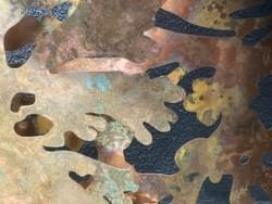 Skeuomorphic, Wall Cladonia Crustoses. Skeuomorphic, Wall Cladonia Crustoses.