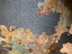 Skeuomorphic, Wall Cladonia Crustoses.  Skeuomorphic, Wall Cladonia Crustoses.