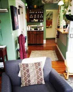 Winding Willow Acupuncture Entry Winding Willow Acupuncture Entry