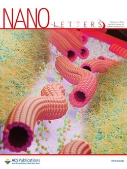 Journal cover of Nano Letters, 2024, 24, 35, 10790–10795