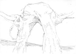 Graphite, pencils - A4 paper size