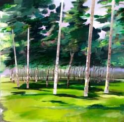 Phoenix Park In 5km - SOLD Phoenix Park In 5km - SOLD