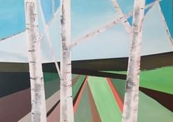 Silver Birch  Silver Birch