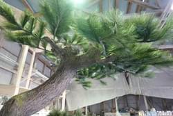 竹風堂 FRP擬木 竹風堂 FRP擬木