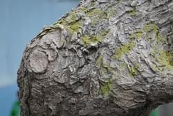 竹風堂 FRP擬木 竹風堂 FRP擬木