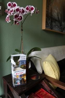 Division Clinton Business Association Affiliation Division Clinton Business Association Affiliation