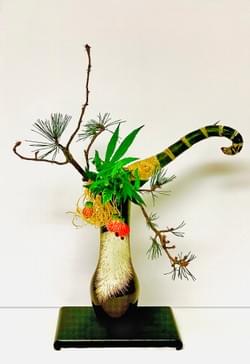 2022 San Diego 2nd Virtual Spring Show 2022 San Diego 2nd Virtual Spring Show