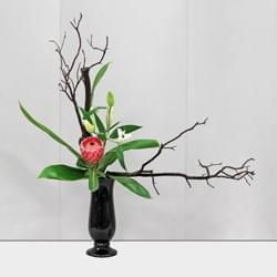 2022 San Diego 2nd Virtual Spring Show 2022 San Diego 2nd Virtual Spring Show