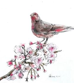 by 花羽(IG@whatfeather)
