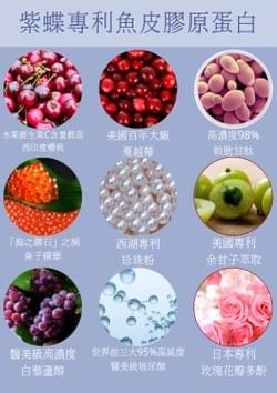紫蝶膠原蛋白的主要成分 紫蝶膠原蛋白的主要成分
