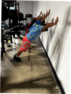 physical fitness program physical fitness program