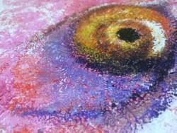 (sold已卖) (sold已卖)