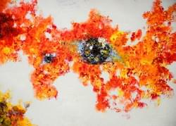 (sold已卖)demon eyes (sold已卖)demon eyes