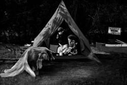 Don't Feed The Bears Don't Feed The Bears