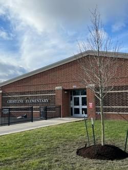 Ramsey Foundation Tree Donation