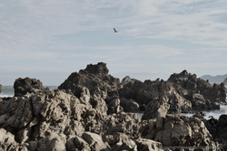 Rugged Rocks Rugged Rocks
