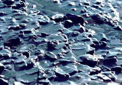 Waikarimoana Lake Shore Waikarimoana Lake Shore