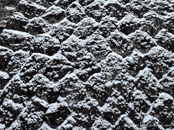 Snow frosted wall Snow frosted wall