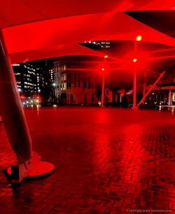 Night on the town Night on the town