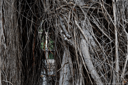 A glimpse A glimpse