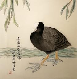 Moorhen water bird (size 33x33cm). Price 500,- Euro