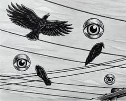 Crows, Eyes, Wires... (2024) Crows, Eyes, Wires... (2024)