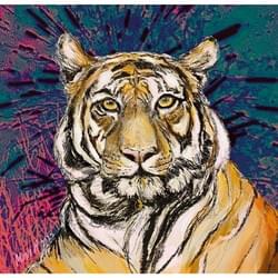 Year of the Tiger 2022 Year of the Tiger 2022