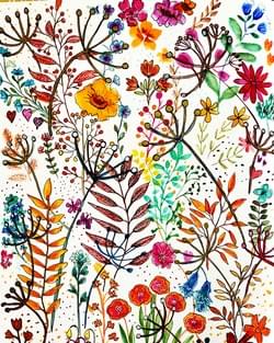 Summer Bloom Summer Bloom