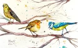My Garden Birds. Watercolors My Garden Birds. Watercolors