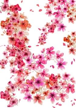 Cherry Blossoms. Mixed media Cherry Blossoms. Mixed media