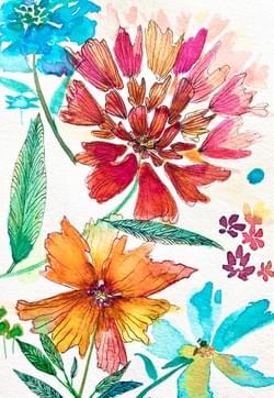 Summer Flowers Summer Flowers