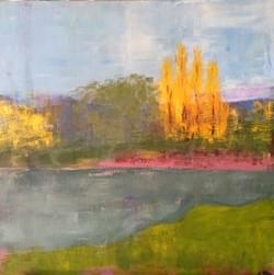 Riparian poplars, 2019, 61 x 61cm, $800 framed Riparian poplars, 2019, 61 x 61cm, $800 framed