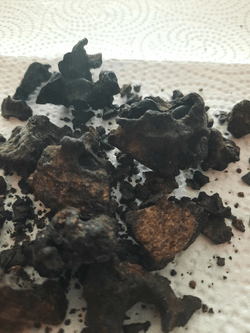 Raw Melipona Propolis Raw Melipona Propolis