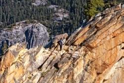 Watchtower Watchtower