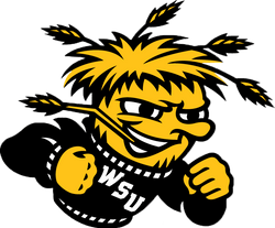 The Wichita State Shox The Wichita State Shox