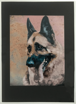 German Shepherd Dog $250 German Shepherd Dog $250