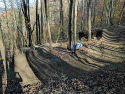 Fern Gully Fern Gully