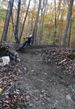 Fern Gully Fern Gully